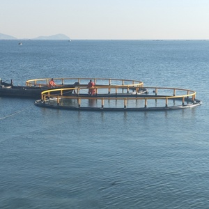 Cage de pisciculture temporaire ronde à succès pour l'aquaculture – Système complet pour l'élevage de gros poissons - Product Image 6