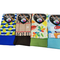 Fashion Absorbent Two Pack Kitchen Towels