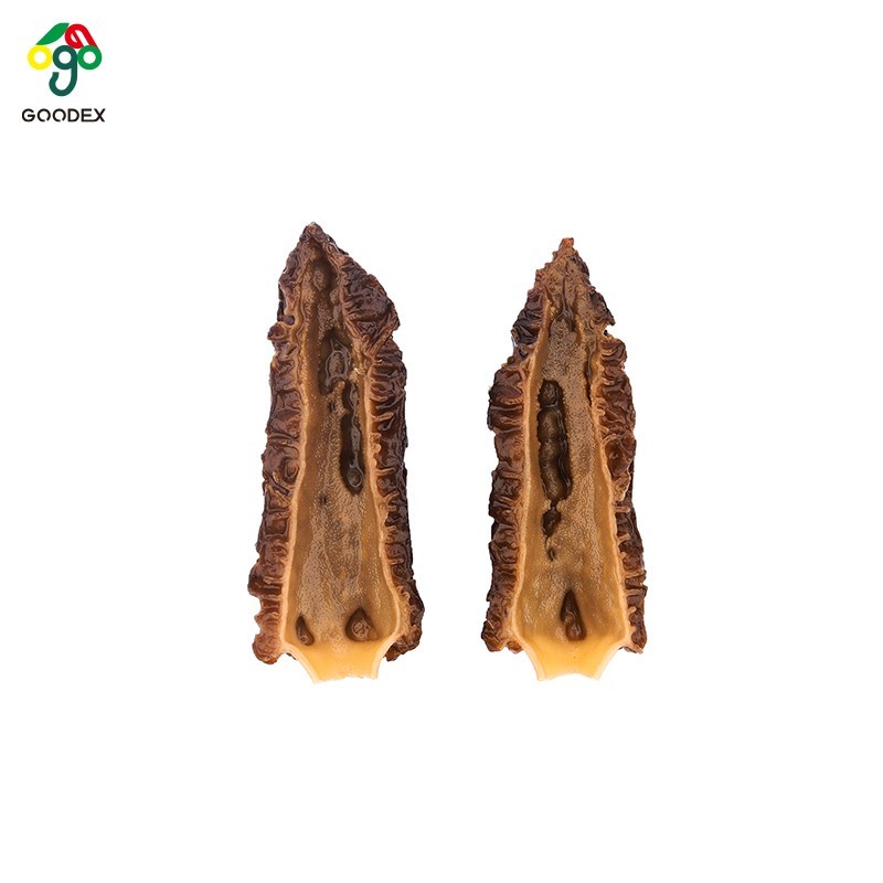 morille, de morilles sech , morille sechee