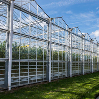 Serre commerciale en verre de tunnel de contrôle automatique de systèmes hydroponiques d'agriculture intelligente à vendre