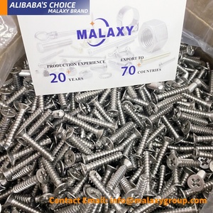 MALAXY ISO14581 18-8 Acero inoxidable T20 Torque Tornillo Torx Head Tornillos de madera para Chevy Bolt <span class=keywords><strong>Forum</strong></span> - Product Image 4