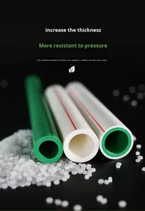 Lista de Precios de Tubería <span class=keywords><strong>PPR</strong></span> de 32mm 40mm 50mm Pn10 Pn20 Alemania - Product Image 3