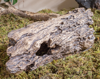 Caverne cachette pour reptiles, abri rond et durable pour baignade solaire, escalade et décoration paysagère