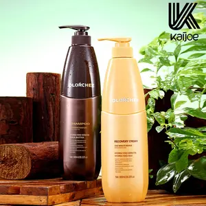Private Label Wholesale Hair Care Products Sulfate Free Argan Oil Anti Hair Dandruff Hair Shampoo