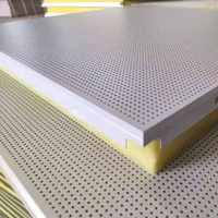 Panneau de plafond perforé sur mesure 600 mm, panneau escalonné résistant à l'humidité pour projets éducatifs et médicaux