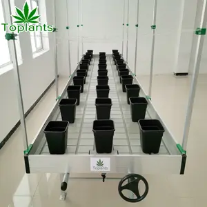 Rolling Bench with Trays movable tables for Garden Centres hydroponic growing irrigation systems