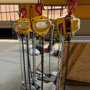 รอกโซ่แบบกำหนดเองพร้อมเบรกแบบสองขา รอกโซ่แบบมีมือจับ รับน้ำหนัก 2 ตัน ราคา - Product Image 1