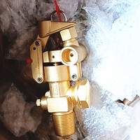 Katup Aktuator Sistem Pemadam Kebakaran Tekanan Tinggi CO2 45KG Bahan Kuningan untuk Tabung Gas FM200 Pemadam Kebakaran