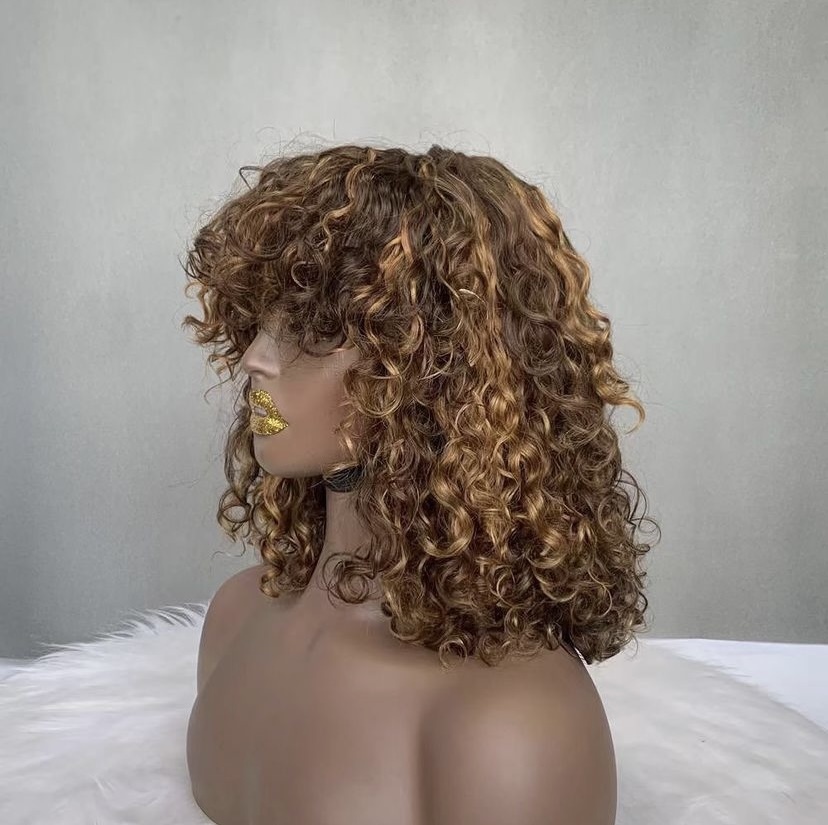 Short Curly Human Hair Wig With Lace Front Natural Look Soft Curls Bob Style Wig For Ladies Oem Odm Wholesale 2025