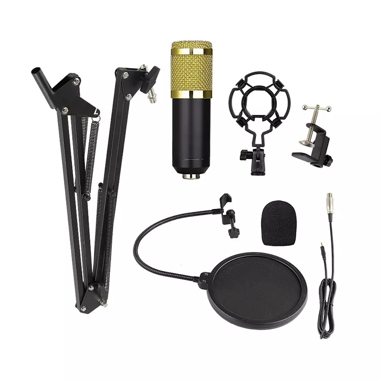 Bm800 Professional Studio Youtube Recording Condenser Microphone Kit