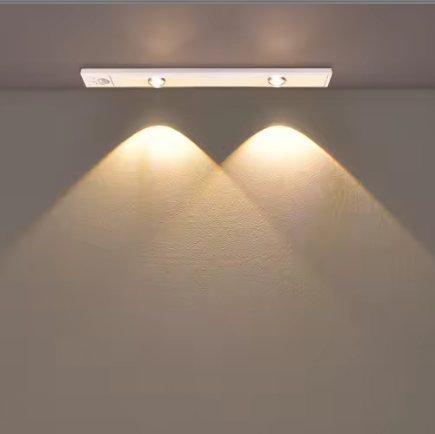 blanc 30cm/2 LED