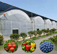 Kit complet de serre commerciale multi-travées économique avec gouttière de drainage et système hydroponique pour semis de tomates et de fraises