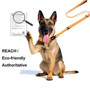 Collares de nailon para mascotas a la moda, <span class=keywords><strong>Collar</strong></span> de entrenamiento ajustable con hebilla de Metal, <span class=keywords><strong>Collar</strong></span> de perro táctico de diseñador con logotipo personalizado para perros medianos y grandes - Product Image 2