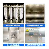 ICEMA 1000kg 3000kg 1 tonelada 2 toneladas 3 toneladas 5 toneladas 10 toneladas 15 toneladas 20 toneladas por día máquina de hacer cubitos de hielo cuadrado planta de fabricación de cubitos de hielo
