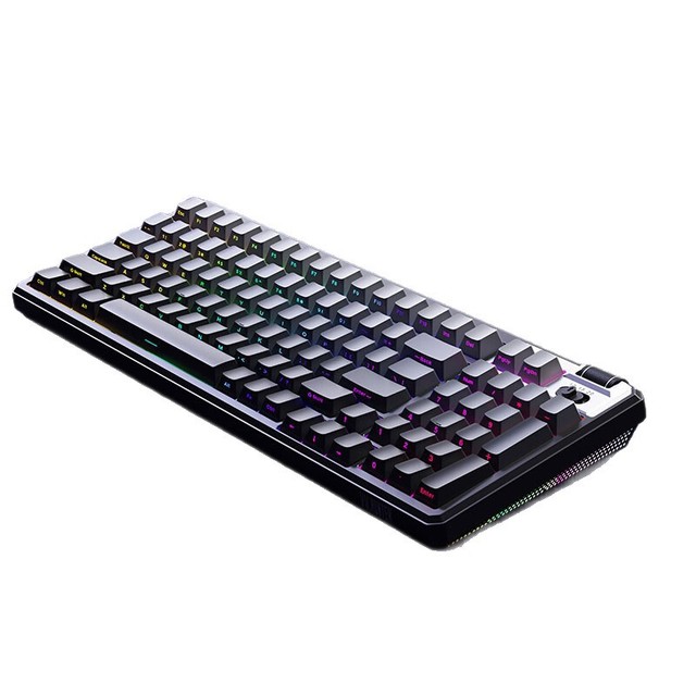 A98RT Mechanical Magnetic-Axis Keyboard RGB Wired Full-Key Hot-Swappable Macro-Enabled for FPS and Valorant 98 Keys