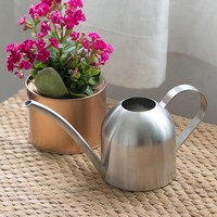Arrosoir d'intérieur personnalisé en acier inoxydable de 1000 ml, arrosoir en métal pour plantes d'intérieur
