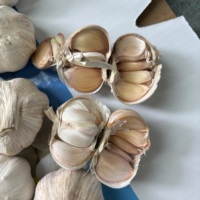 Nouvelle Saison 2026 : Ail Blanc Frais de Haute Qualité en Gros pour l'Exportation au Gabon, destiné aux Acheteurs et Importateurs