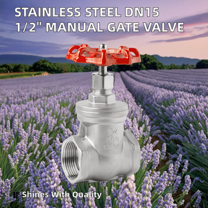 Vanne à opercule filetée femelle Nalisha de haute qualité DN50 100mm BSP en acier inoxydable, manuelle, garantie 1 an, pour l'eau - Product Image 2