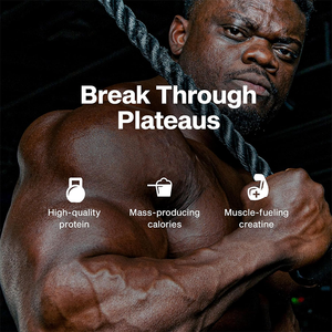 Rosebest - Vente en gros de compléments nutritionnels sportifs - Gainer de <span class=keywords><strong>poids</strong></span> riche en protéines - Isolat de protéines de lactosérum en poudre avec créatine monohydrate - Product Image 2