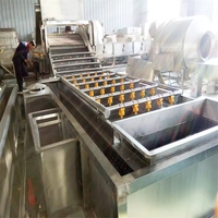 Fabrieks prijs roestvrijstalen bubbel groente reinigingsmachine / fruitwastank