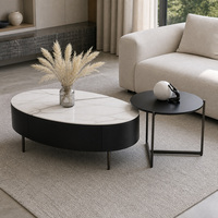 Table basse moderne haut de gamme avec plateau en marbre miroir et cadre en bois, design durable, meubles de salon