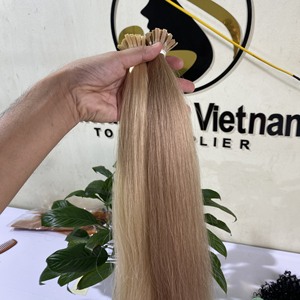 Double cuticule alignée en usine, cheveux vierges russes Remy, kératine italienne pré-collée, pointe plate Blonde 613 naturelle, Exte - Product Image 3