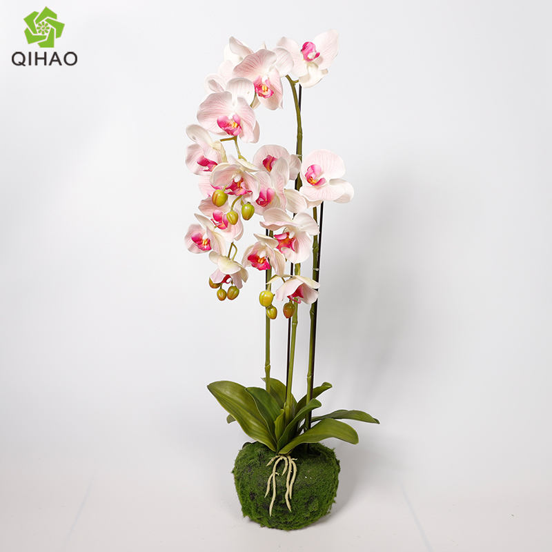 สีชมพูอ่อน