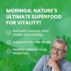 Bán buôn tinh khiết tự nhiên hữu cơ Moringa lá bột tinh khiết tự nhiên giảm béo Trà Moringa gừng Moringa oleifera - Product Image 5