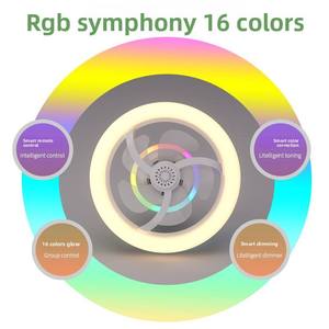 Ventilador de Techo LED Empotrado, Cuerpo de Plástico, 5 Aspas, Motor de Cobre Puro, Control Remoto, Luz RGB Regulable, Diseño Moderno para Sala de Estar - Product Image 5