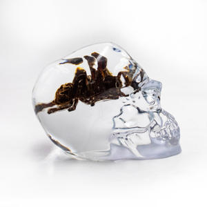 Calaveras de Cristal Transparente con Flores Secas en Resina Natural Pulida de Alta Calidad con Propiedades Curativas para Decoración del Hogar - Product Image 1