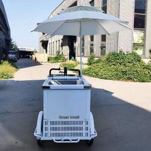 Bon prix 500w pédale d'assistance électrique distributeur automatique Tricycle congélateur affaires Gelato vélo crème glacée chariots vélo - Product Image 4