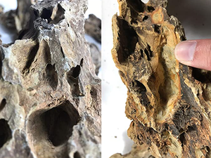 <span class=keywords><strong>Aquarium</strong></span> Draak Stenen <span class=keywords><strong>Ohko</strong></span> Dragon Poreuze Steen Voor <span class=keywords><strong>Aquarium</strong></span> Versieren - Product Image 6