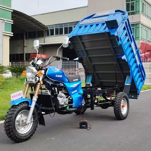 Tricycle à 3 roues 200cc avec amortisseur arrière vertical, occasion, pour l'Afrique - Vente chaude à l'exportation - Product Image 3