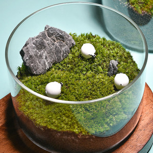 Bocaux en verre pour <span class=keywords><strong>plante</strong></span> en verre pour Offre Spéciale de mariage Vase de table de tailles multiples Décoration de la maison à vendre - Product Image 5