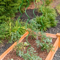 Tomate plantes en croissance Support métal galvanisé fil d'acier couleur verte peinture jardin fleur vente de courrier en ligne treillis Creepers