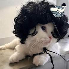 Simpatico ornamento per cucciolo di papavero in un Design elegante - Product Image 1