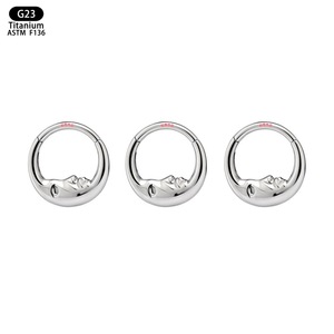 Anneau de nez en titane G23 10 mm, épaisseur 1,2 mm, bijoux de piercing sans soudure, unisexe - Product Image 5