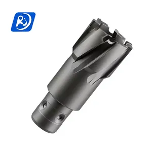 Rjtools Trung Quốc nhà máy chất lượng tốt 12-28 Mét TCT lõi khoan hình khuyên Cutter với Weldon Shank để bán