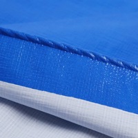 Bâche en plastique PE imperméable, bâche en polyéthylène imperméable, matériau de couverture polyvalent