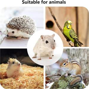 Muestra gratis de hámsteres sirios enanos, jerbos, ratones, Degus, plataforma de madera para hámster, cuenco de agua y comida para mascotas pequeñas para jaula de hámster - Product Image 3