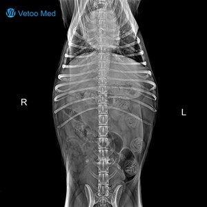 <span class=keywords><strong>Scanner</strong></span> CT vétérinaire de précision pour animaux : cérébro, nez, colonne vertébrale, poumons, abdomen, fractures complexes, tumeurs, corps étrangers – Appareil d'imagerie CT pour animaux de compagnie - Product Image 5