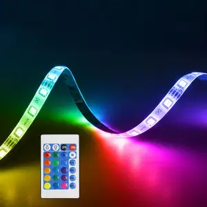 Kỳ nghỉ cảnh quan ánh sáng phù hợp với 24 key 5m RGB IP20 không thấm nước 2835/5050 LED Strip Lights 12V nhà LED Strip ánh sáng