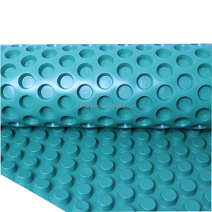 Planche à fossettes moderne en HDPE Planche de drainage de fondation en plastique imperméable pour parc extérieur en pente de toit <span class=keywords><strong>routier</strong></span> Autres applications - Product Image 4