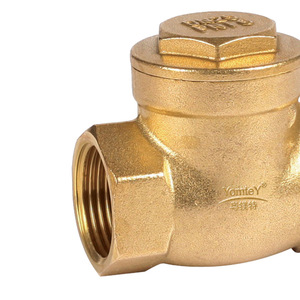 Guangdong Magnesium Special Brass Check Valve Straight-through Single-lobed Structure Water Pipe One-way Valve - Product Image 2