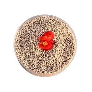 NPK 15-5-5 spécial pour la <span class=keywords><strong>pomme</strong></span> <span class=keywords><strong>de</strong></span> <span class=keywords><strong>terre</strong></span> et le maïs <span class=keywords><strong>Engrais</strong></span> composé à satisfaction client élevée - Product Image 3