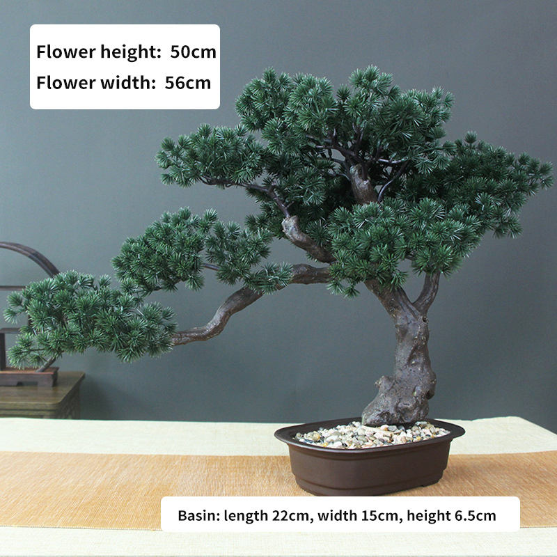 ต้นไม้มงคลที่ชั่วร้าย