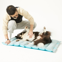 OEM Pliable Réutilisable Chien Tapis Lavable En Machine Étanche Chiot Formation Pad Pet Tapis De Refroidissement Pour Le Voyage
