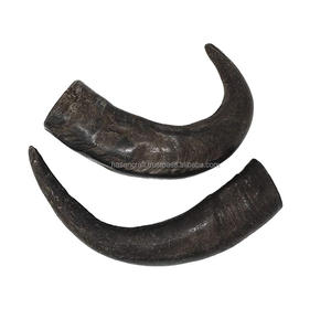 Corne imboulé naturel en forme de Viking, 5 m, à boire, style Viking, vente en gros - Product Image 3