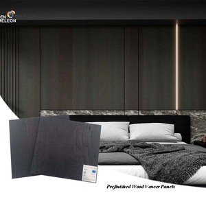 Oem Luxe Premium 4X9 Inch Hout Fineer Panelen Eucalyptus Hpl Dunne Lambrisering Voor Keuken & Badkamer 9Mm 18Mm 22Mm - Product Image 3
