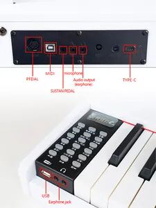 BD Music Multifunction Electronic Organ Piano Keyboard Musical Instruments Piano Keyboard With Bluetooth MIDI USB MP3